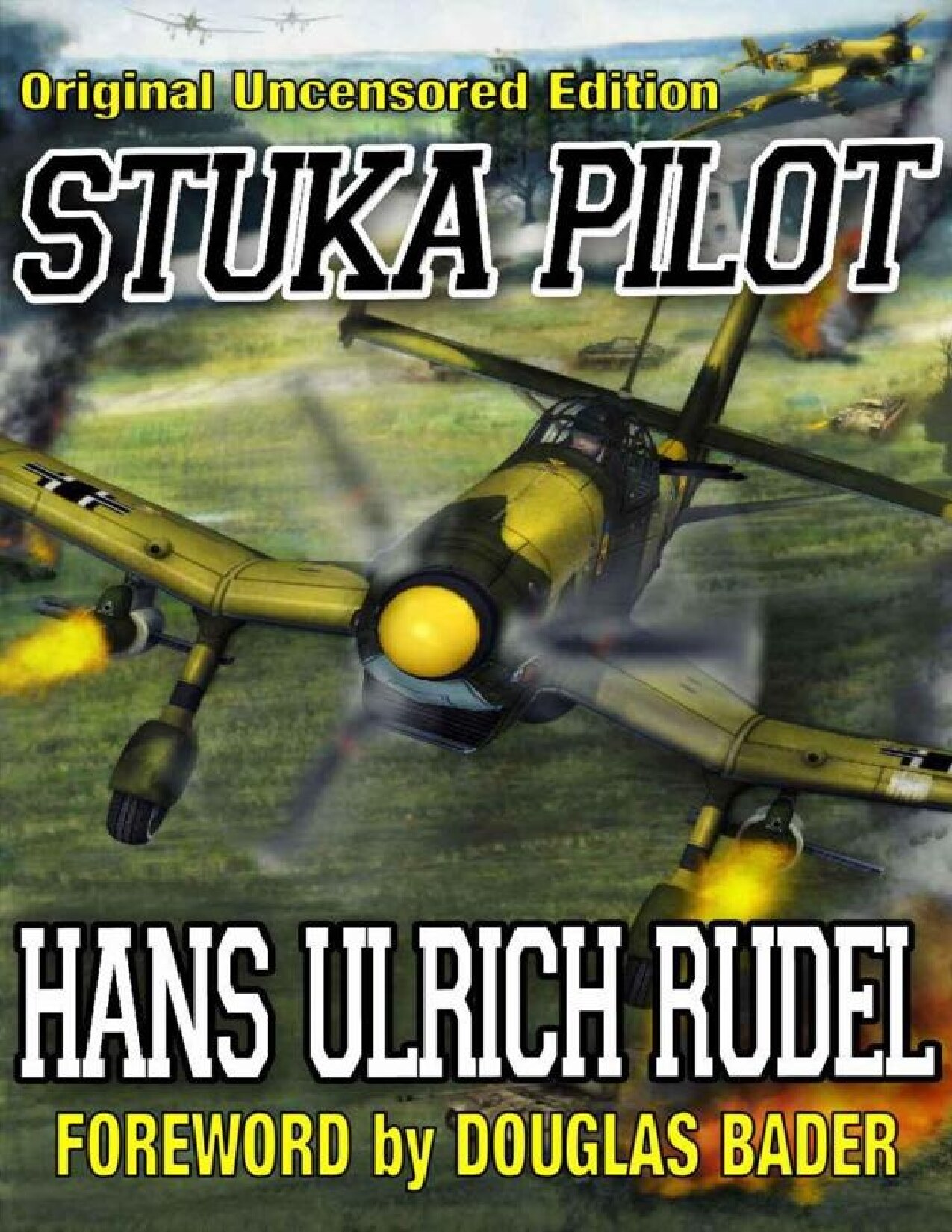 Stuka Pilot